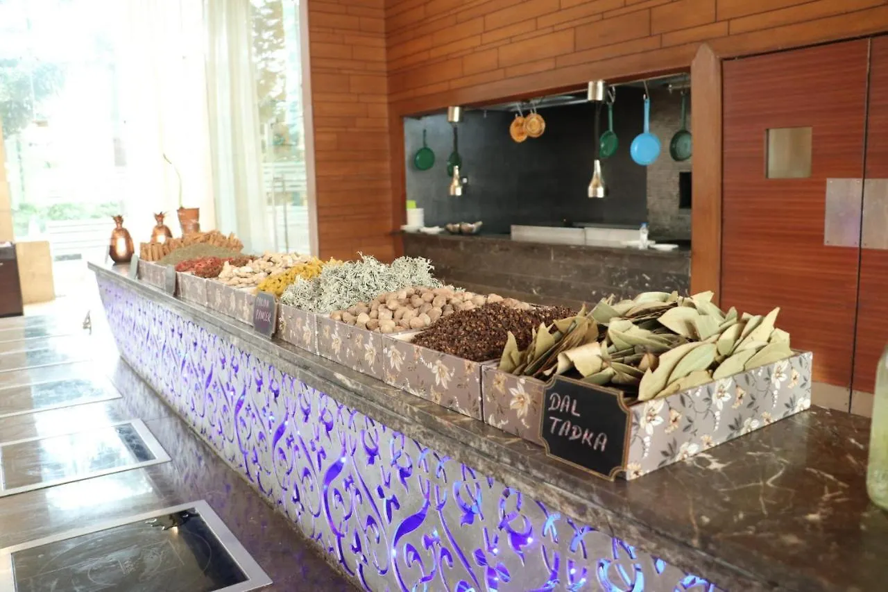 Holiday Inn Chandigarh Panchkula, An Ihg Hotel India